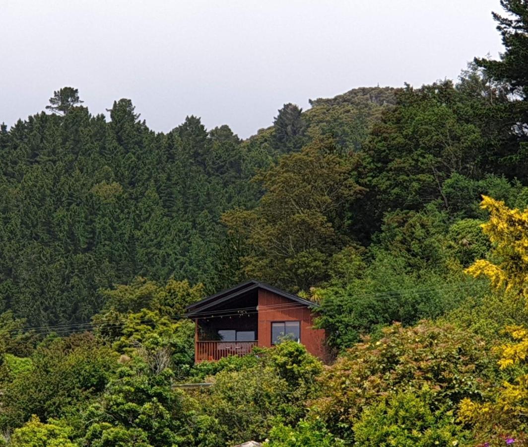 Garden View Cottages Picton Esterno foto
