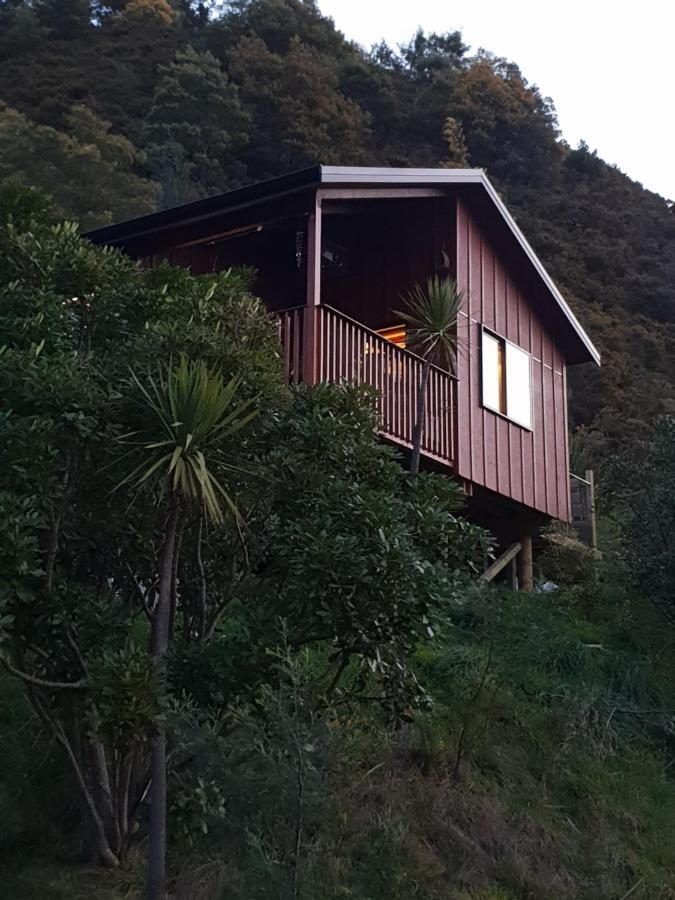 Garden View Cottages Picton Esterno foto