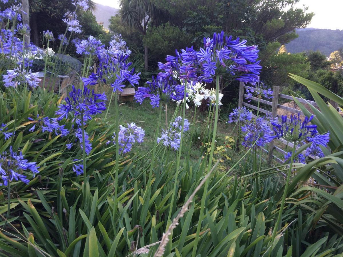 Garden View Cottages Picton Esterno foto